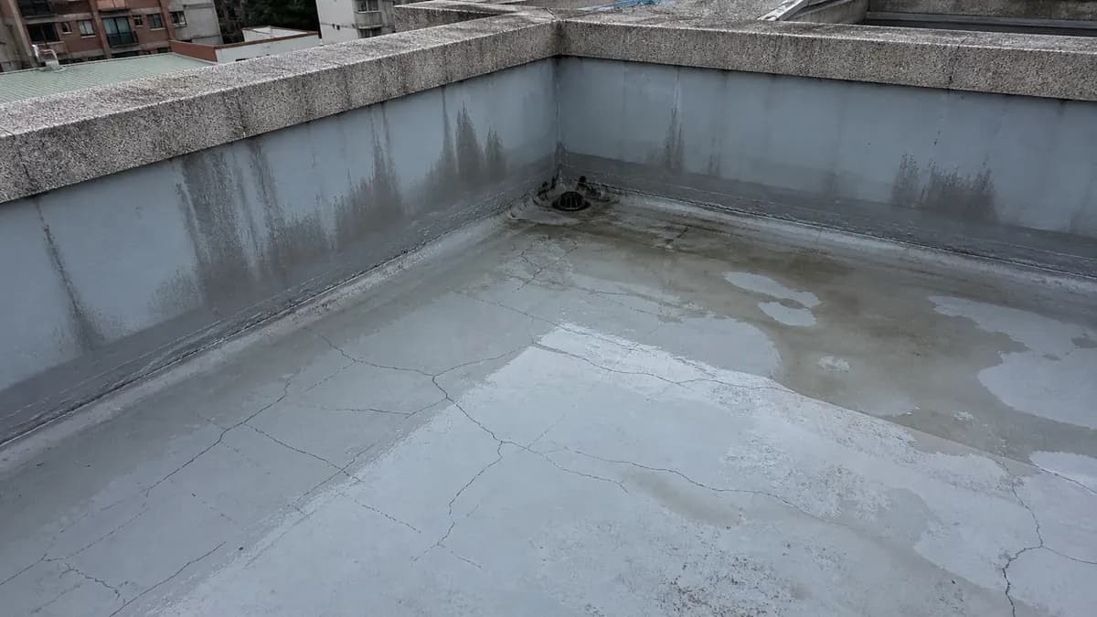 雨後頂樓積水、排水口與防水層現場照片